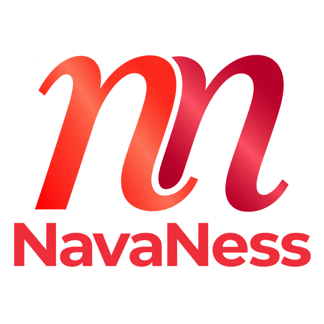 NavaNess logo